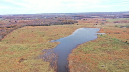 Cattle Farm with Farmhouse for Sale in Salem, Missouri - image 2