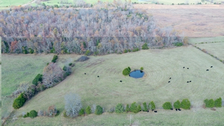 Cattle Farm with Farmhouse for Sale in Salem, Missouri - image 15