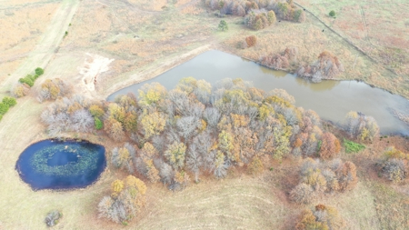 Cattle Farm with Farmhouse for Sale in Salem, Missouri - image 12