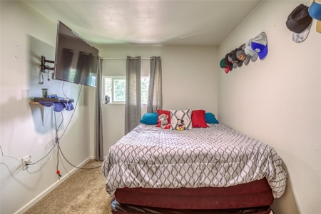 Chama NM Duplex for Sale, Home in town, Investment - image 30