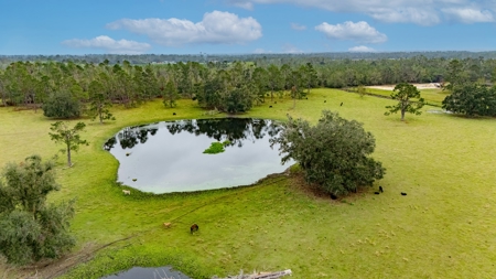 Farm Countryside Home For Sale In Florida - image 20