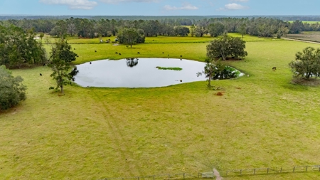 Farm Countryside Home For Sale In Florida - image 18