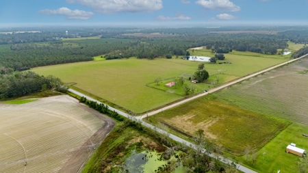 Farm Countryside Home For Sale In Florida - image 9