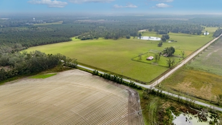 Farm Countryside Home For Sale In Florida - image 22