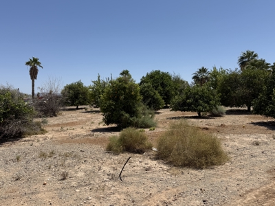 Commercial Land - Interstate 10 - Quartzsite AZ - image 16