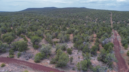 Mountain Ranch Land with Well and Power in Seligman AZ - image 17