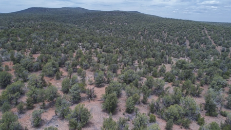 Mountain Ranch Land with Well and Power in Seligman AZ - image 16