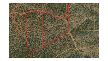Mountain Ranch Land with Well and Power in Seligman AZ - image 10
