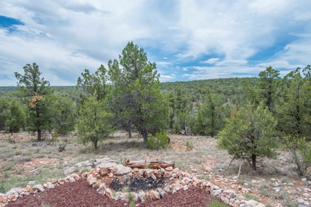 Mountain Ranch Land with Well and Power in Seligman AZ - image 2