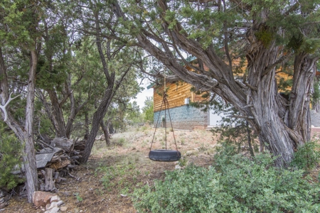 Mountain Ranch Land with Well and Power in Seligman AZ - image 15