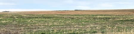 NE/4 S12-12S-29W - 160+/- Acres Farmland Grainfield, KS - image 8