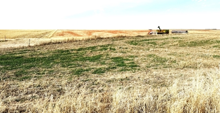 NE/4 S12-12S-29W - 160+/- Acres Farmland Grainfield, KS - image 2