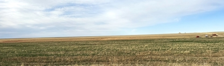 NE/4 S12-12S-29W - 160+/- Acres Farmland Grainfield, KS - image 6