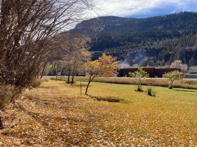 2 Acre Property for Sale in Ouray, Colorado - image 11