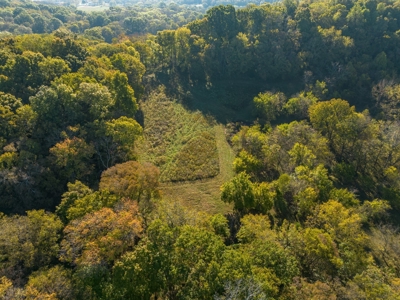 Land for Sale in Maury County, Tennessee - image 12