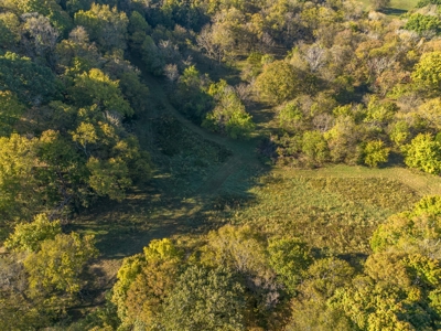 Land for Sale in Maury County, Tennessee - image 17