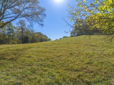 Land for Sale in Maury County, Tennessee - image 18