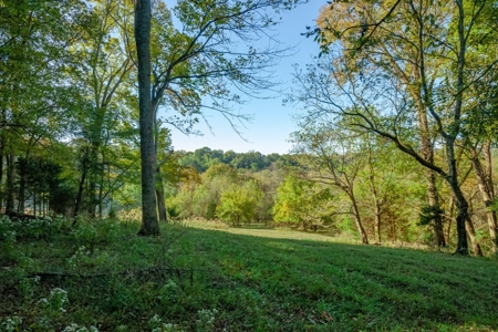 Land for Sale in Maury County, Tennessee - image 33
