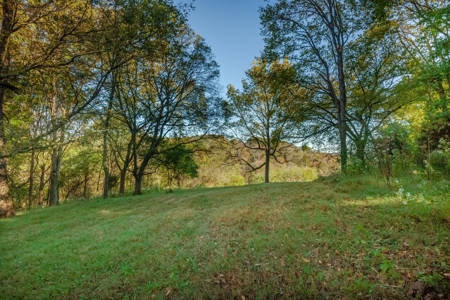 Land for Sale in Maury County, Tennessee - image 34