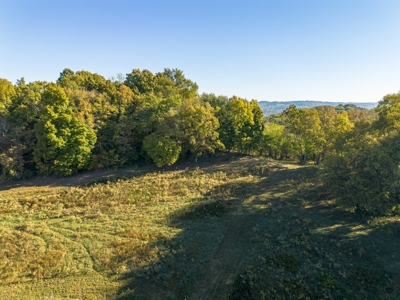 Land for Sale in Maury County, Tennessee - image 15