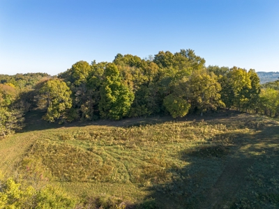 Land for Sale in Maury County, Tennessee - image 16