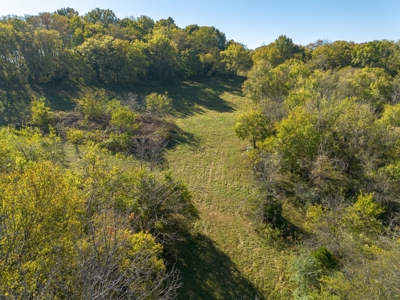 Land for Sale in Maury County, Tennessee - image 21