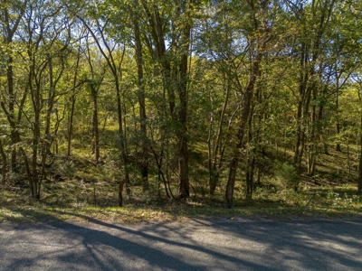 Land for Sale in Maury County, Tennessee - image 25
