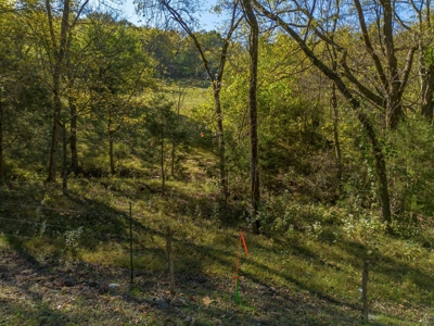 Land for Sale in Maury County, Tennessee - image 23