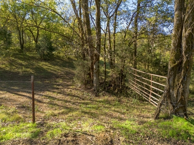 Land for Sale in Maury County, Tennessee - image 6