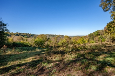 Land for Sale in Maury County, Tennessee - image 28