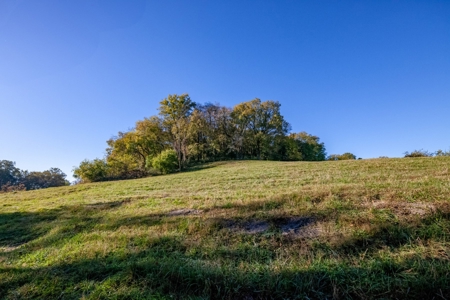 Land for Sale in Maury County, Tennessee - image 27