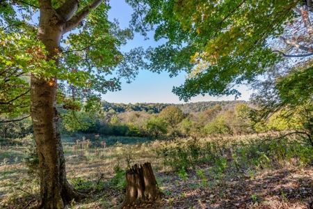 Land for Sale in Maury County, Tennessee - image 3