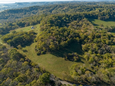 Land for Sale in Maury County, Tennessee - image 9
