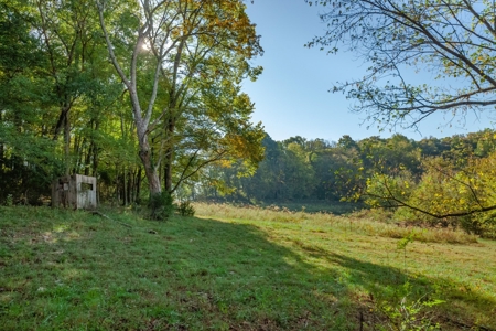 Land for Sale in Maury County, Tennessee - image 35