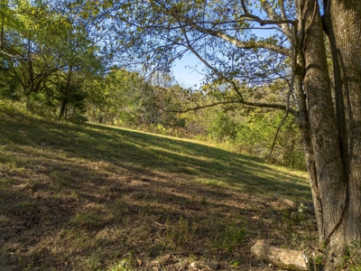 Land for Sale in Maury County, Tennessee - image 26
