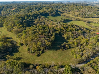 Land for Sale in Maury County, Tennessee - image 38