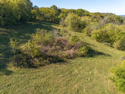 Land for Sale in Maury County, Tennessee - image 20
