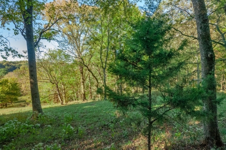 Land for Sale in Maury County, Tennessee - image 5