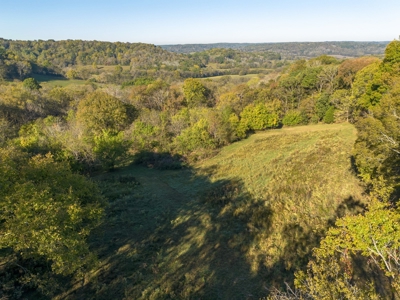 Land for Sale in Maury County, Tennessee - image 14