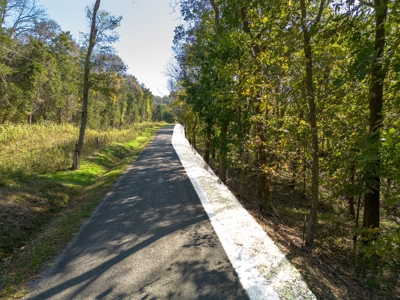 Land for Sale in Maury County, Tennessee - image 7