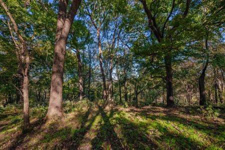 Land for Sale in Maury County, Tennessee - image 30