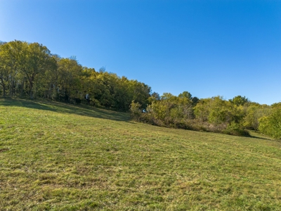 Land for Sale in Maury County, Tennessee - image 1
