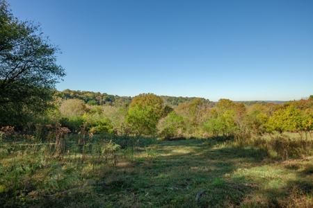 Land for Sale in Maury County, Tennessee - image 22