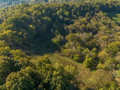 Land for Sale in Maury County, Tennessee - image 11