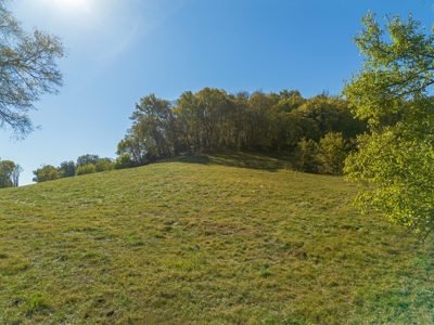 Land for Sale in Maury County, Tennessee - image 19