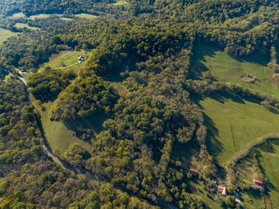 Land for Sale in Maury County, Tennessee - image 8