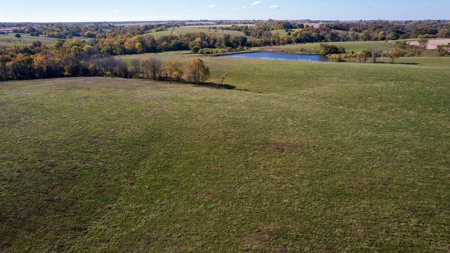 Marion County Farm with Remodeled Home - image 4