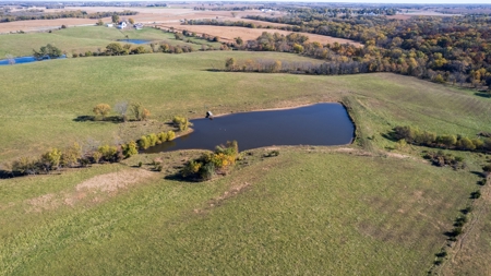 Marion County Farm with Remodeled Home - image 6