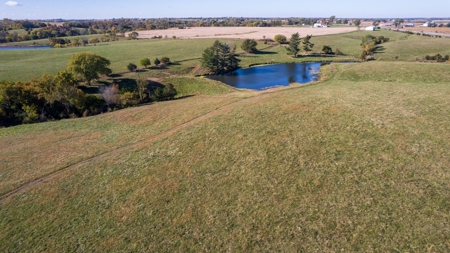 Marion County Farm with Remodeled Home - image 3