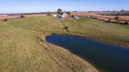 Marion County Farm with Remodeled Home - image 9